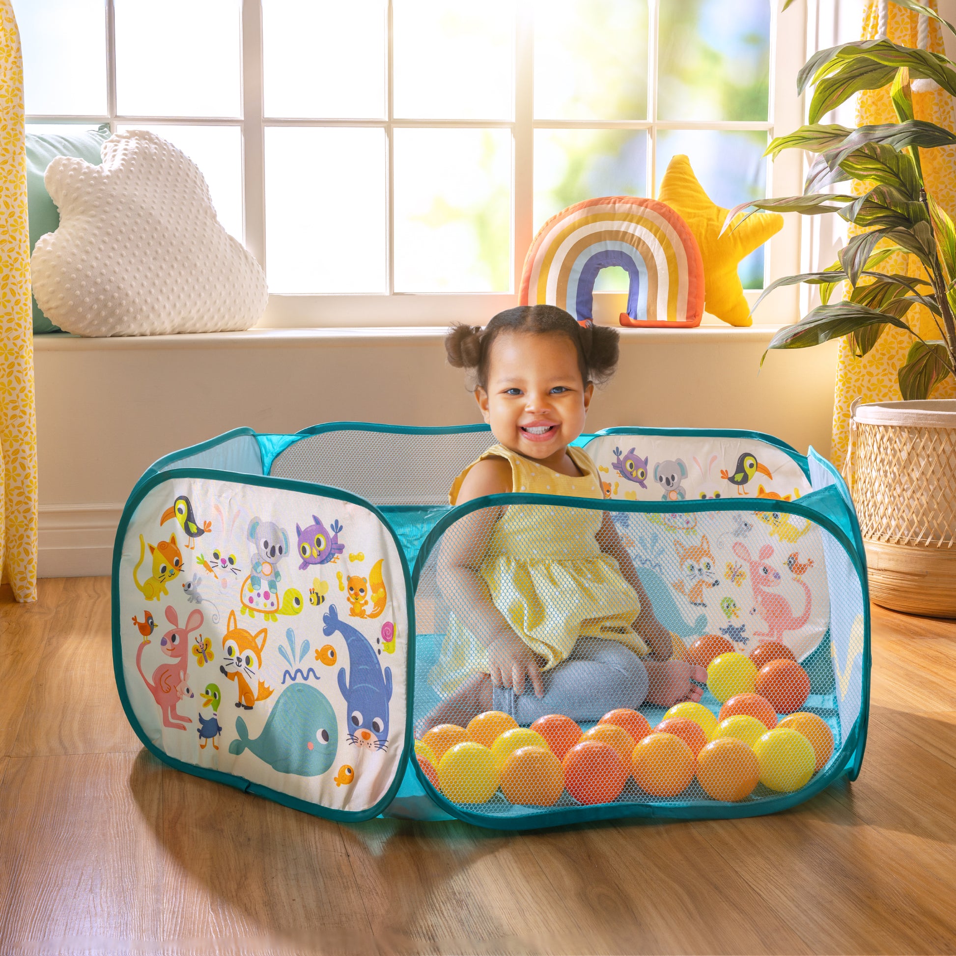 ball pit with balls and case