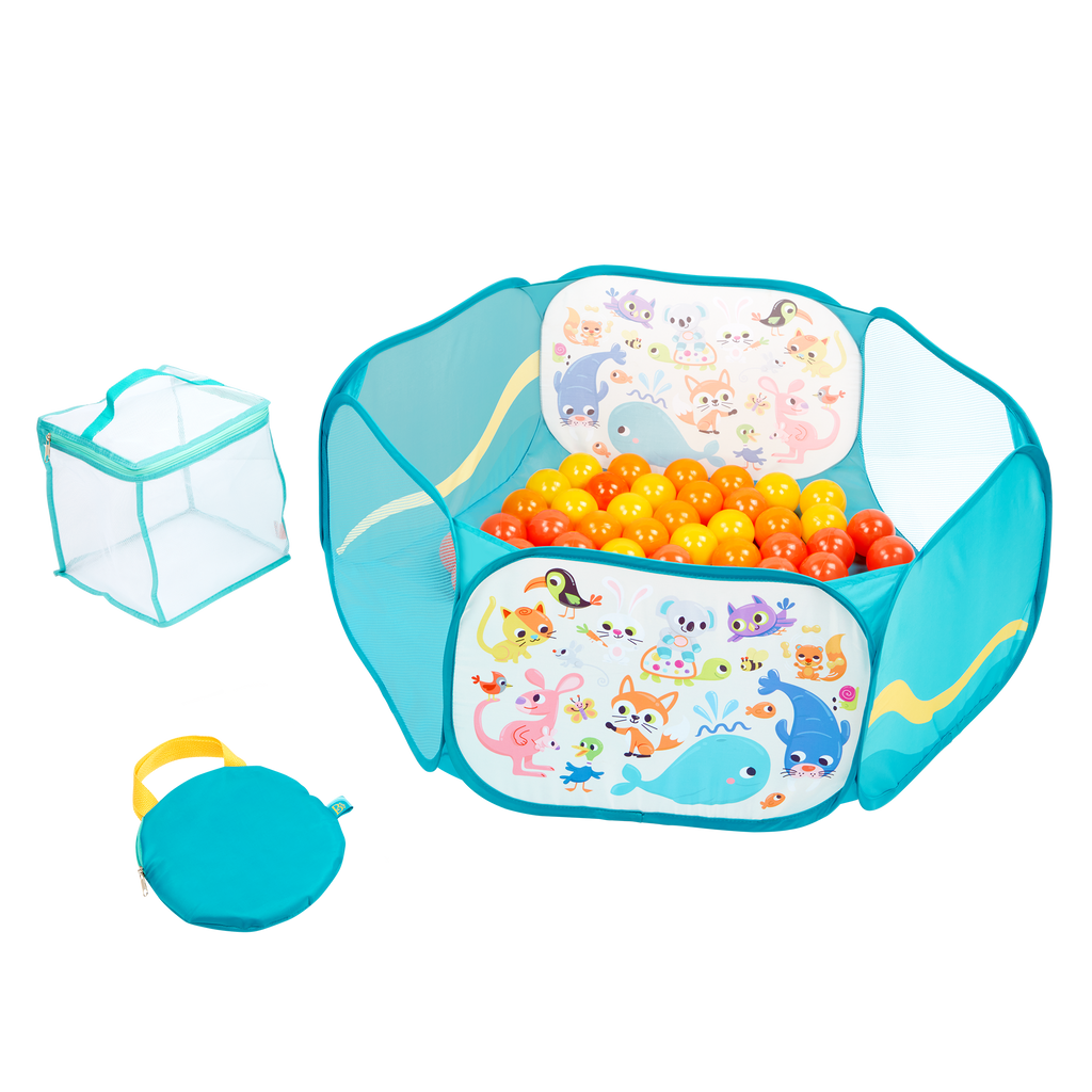 ball pit with balls and case