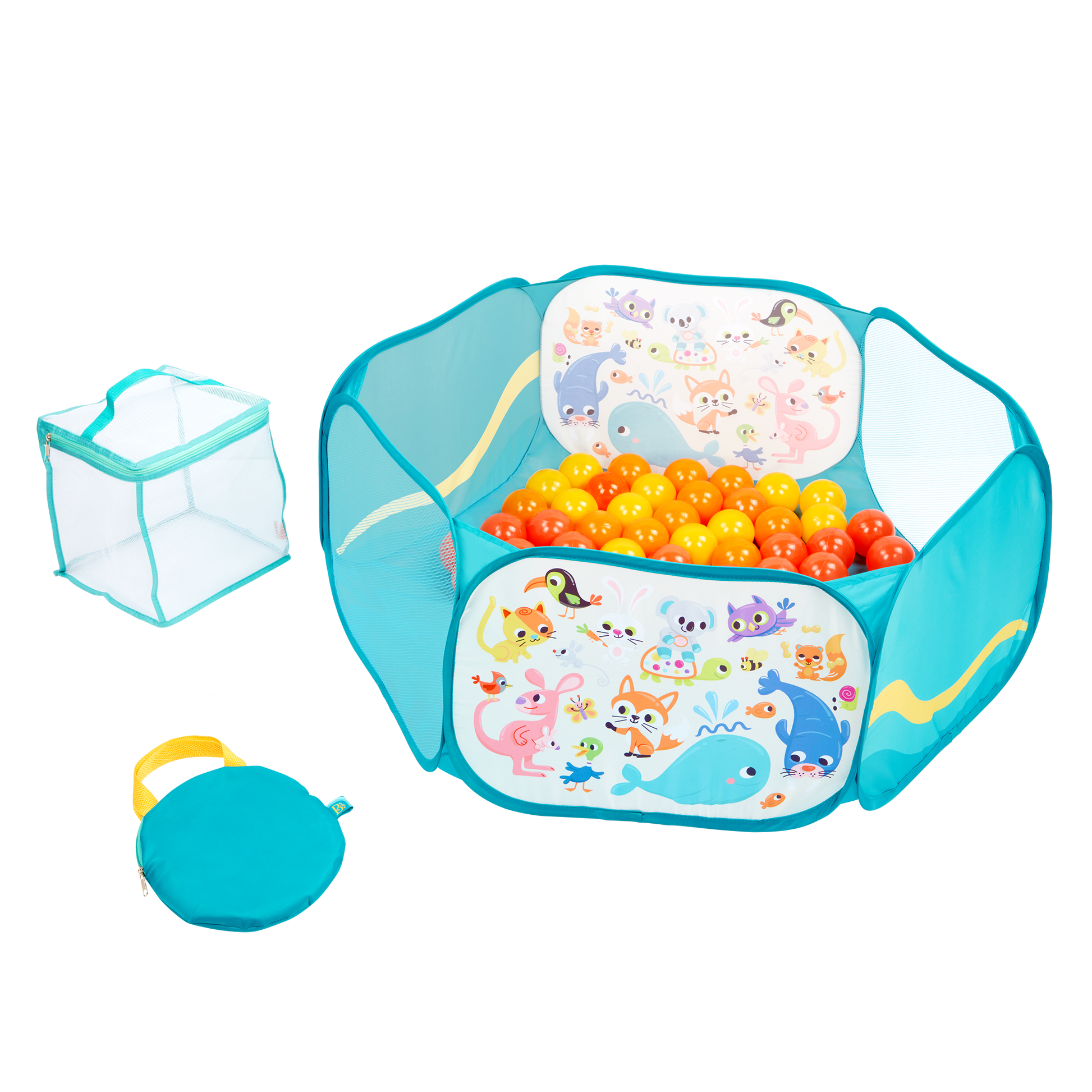 ball pit with balls and case